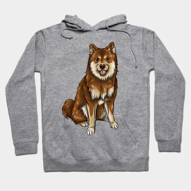 Finnish Lapphund Dog | Chocolate and Tan Hoodie by Shirin Illustration